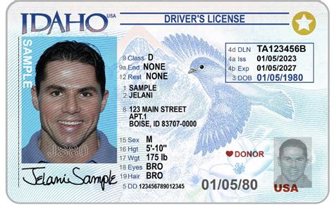 idaho driver's license lookup.